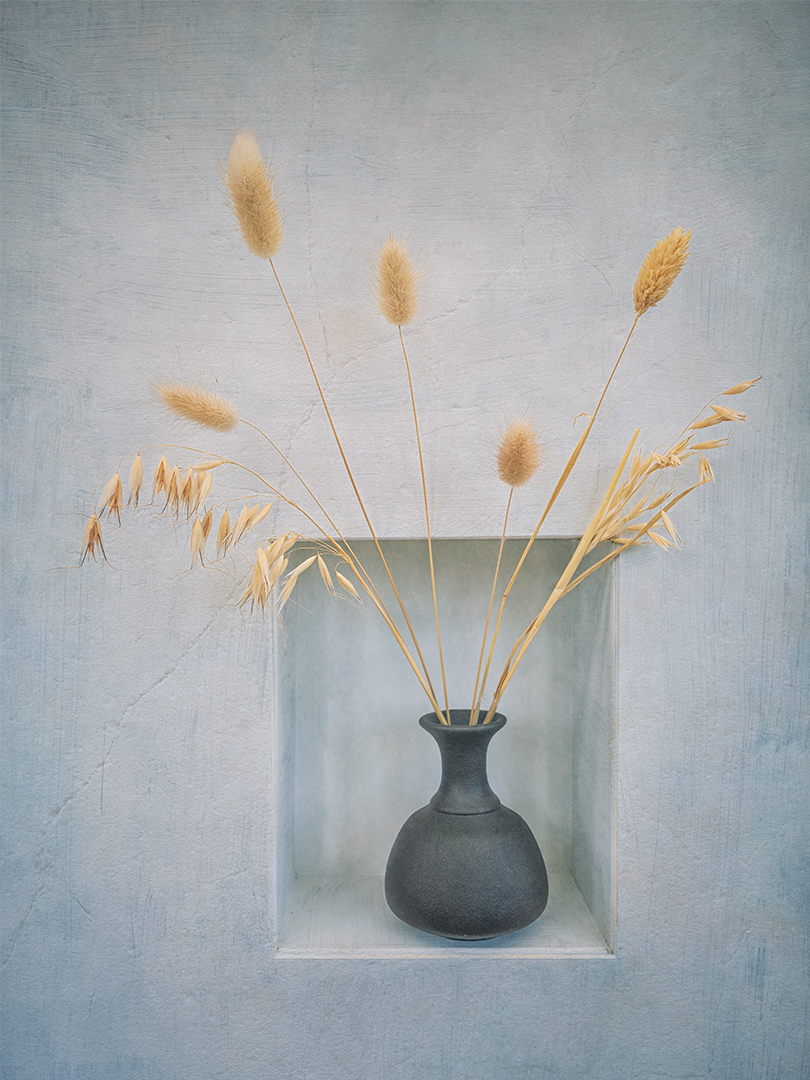 Dried Grasses on Display — Score: 24 pts