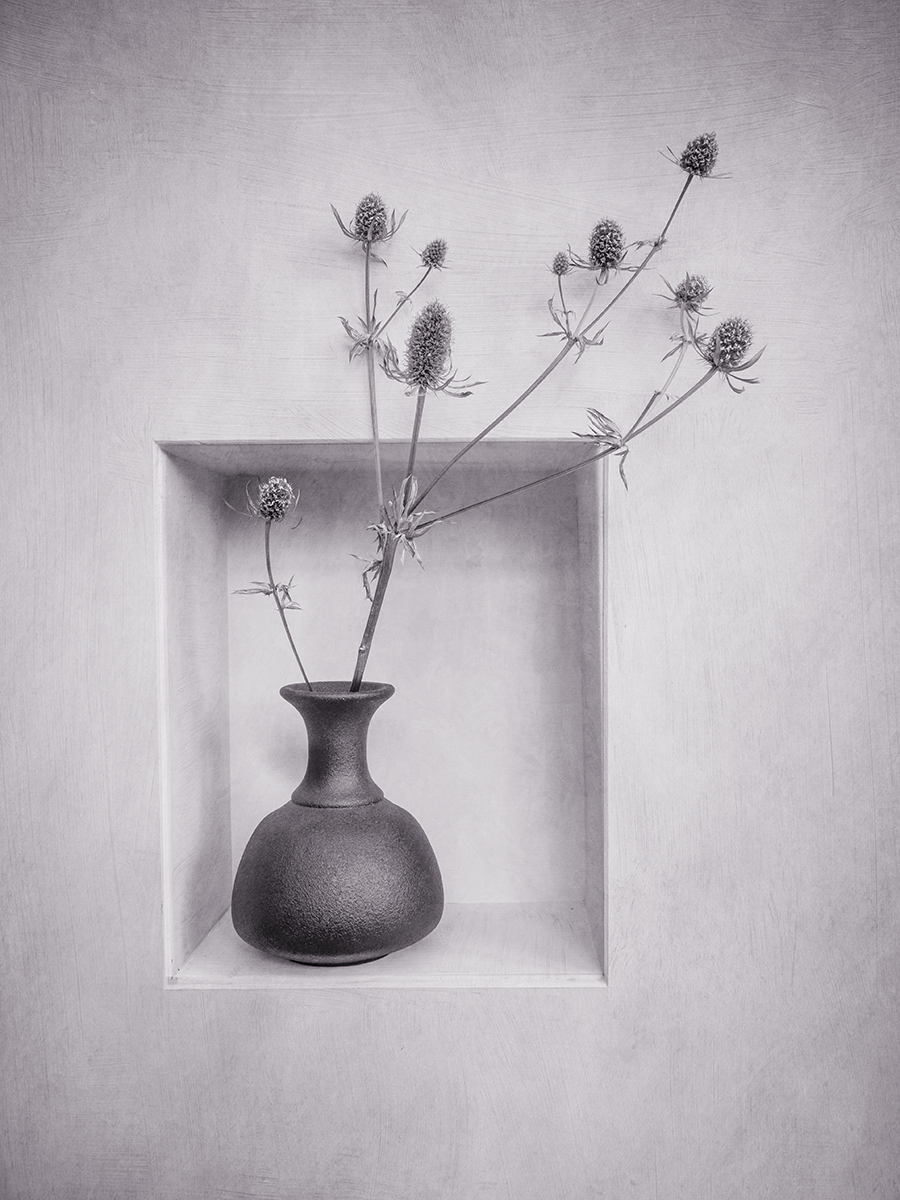 Dried Sea Holly