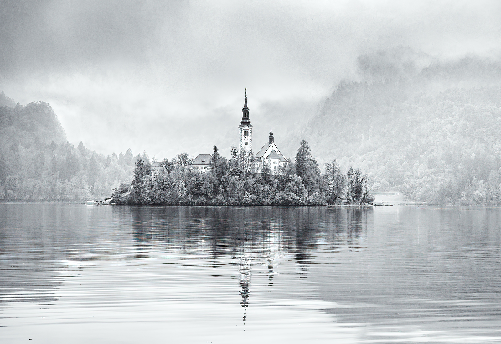 Misty Morning Lake Bled