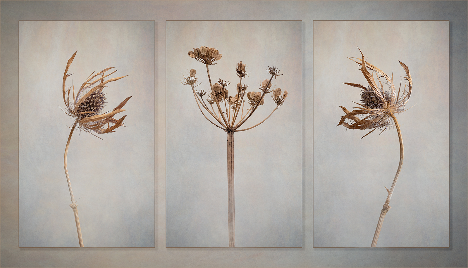 Turning to Seed v2